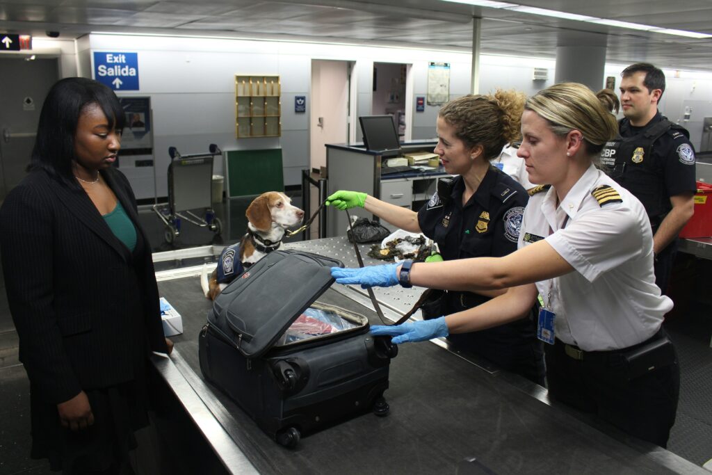 Benefits of TSA PreCheck and Global Entry