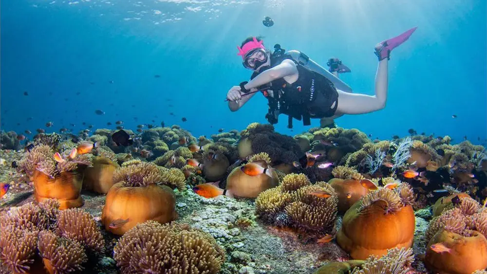 Diving in Bali