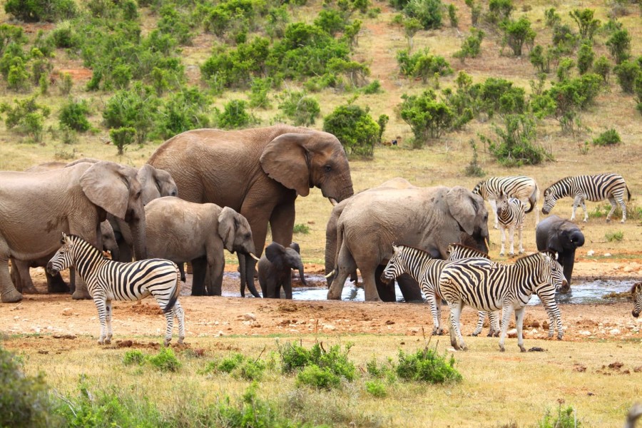 Game Reserves and Nature Parks