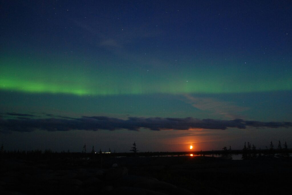 See the Northern Lights
