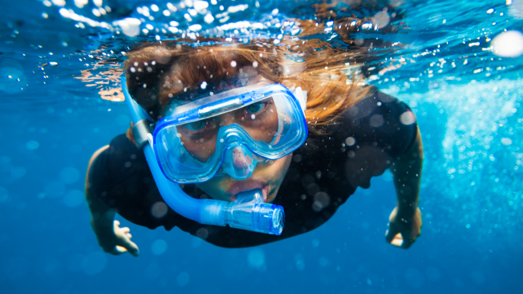 Snorkeling and Diving Spots