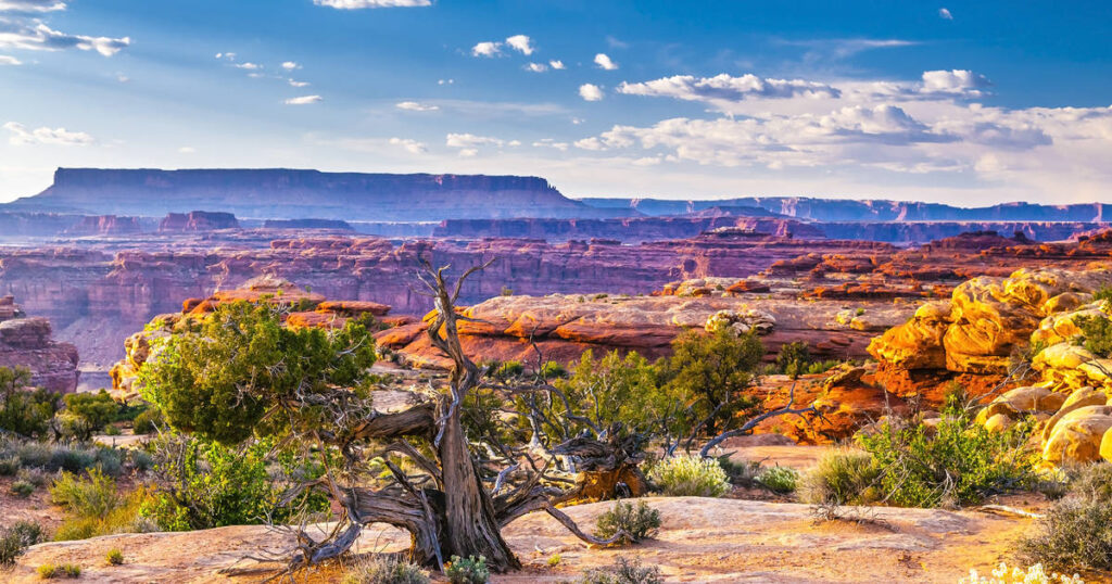 Southwest United States