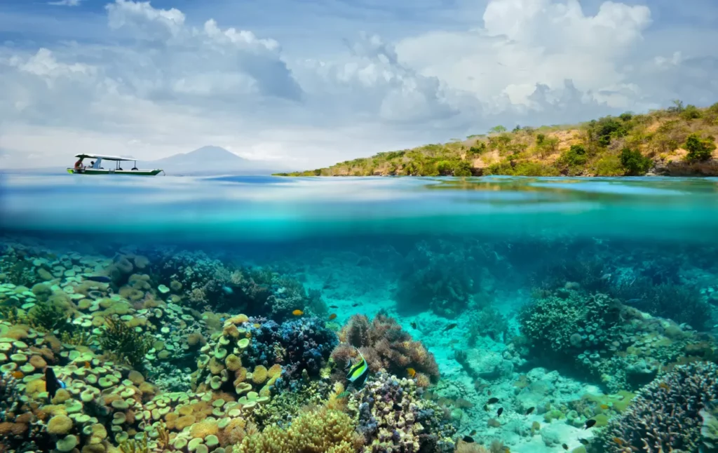 The Perfect Time to Visit Indonesia