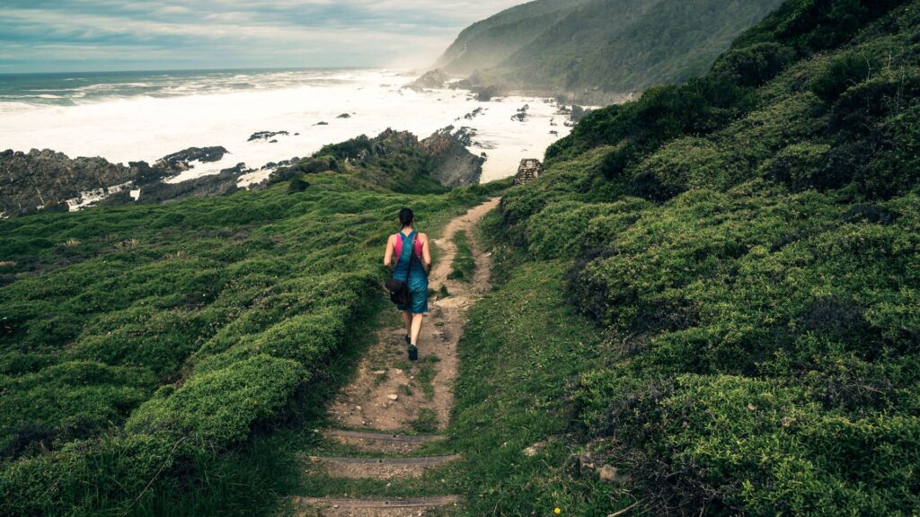 The Ultimate Garden Route Experience