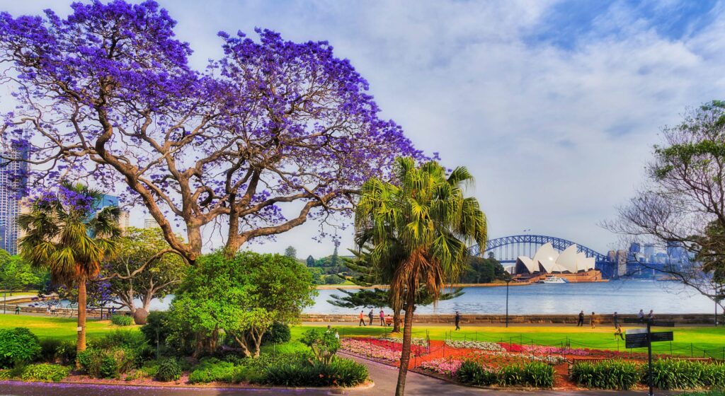 Visit the Royal Botanic Garden