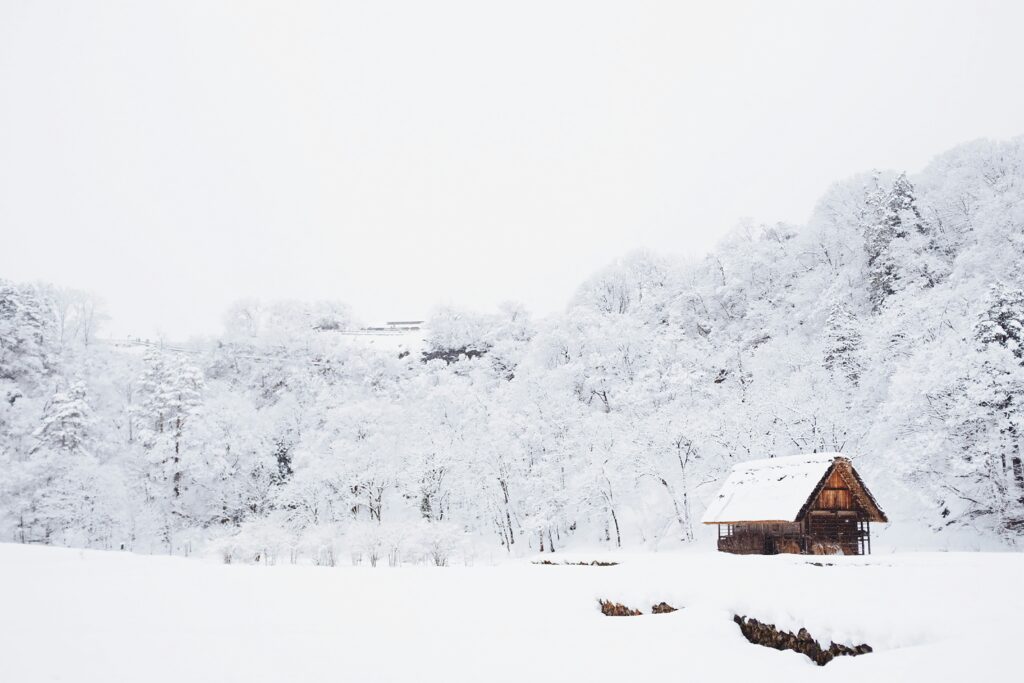 Winter Japan