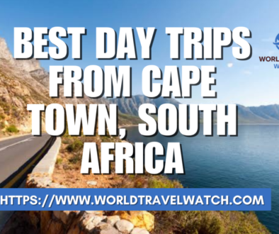 Best Day Trips From Cape Town, South Africa