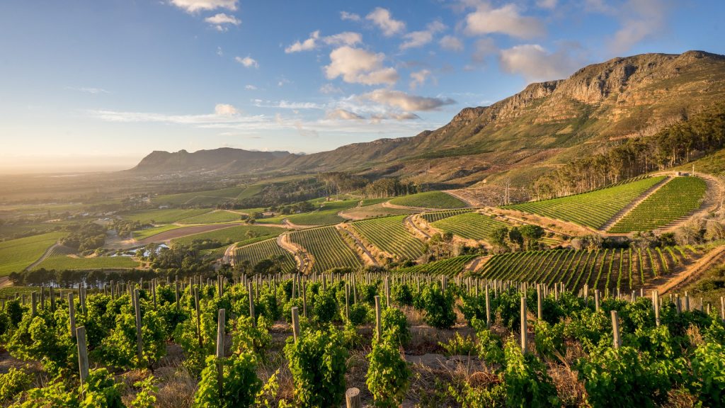 Choosing the Right Cape Town Day Tour