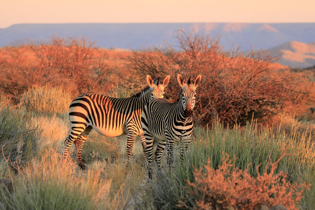 Itineraries for the Ultimate South Africa Safari