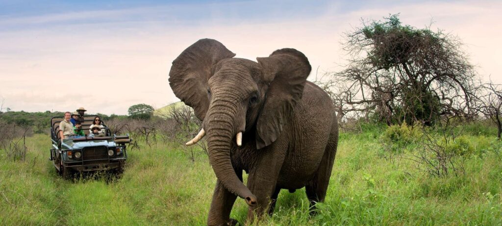 Planning Your Trip to South Africa