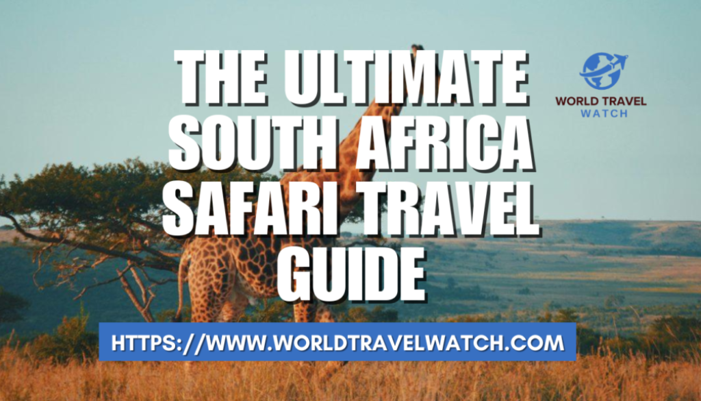 The Ultimate South Africa Safari Travel Guide