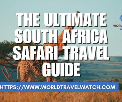 The Ultimate South Africa Safari Travel Guide
