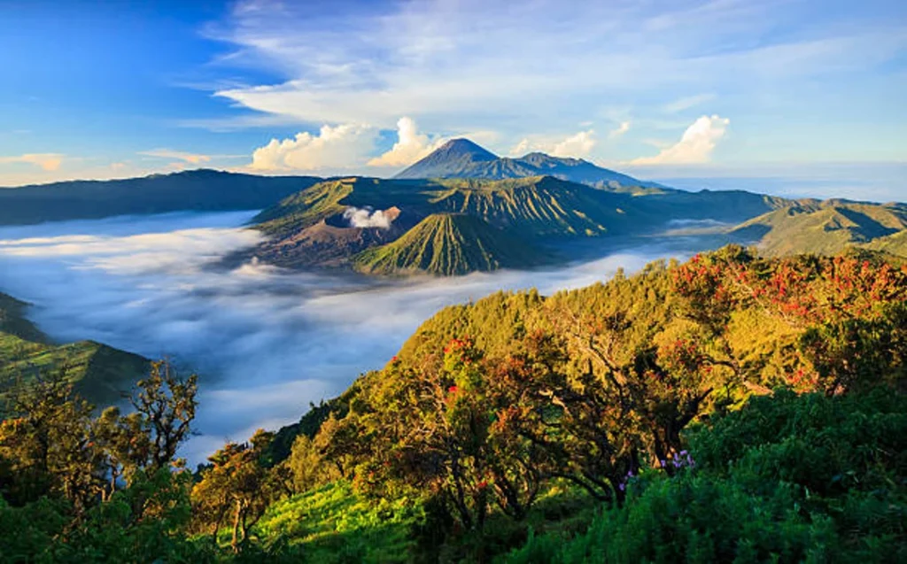 Exploring Java