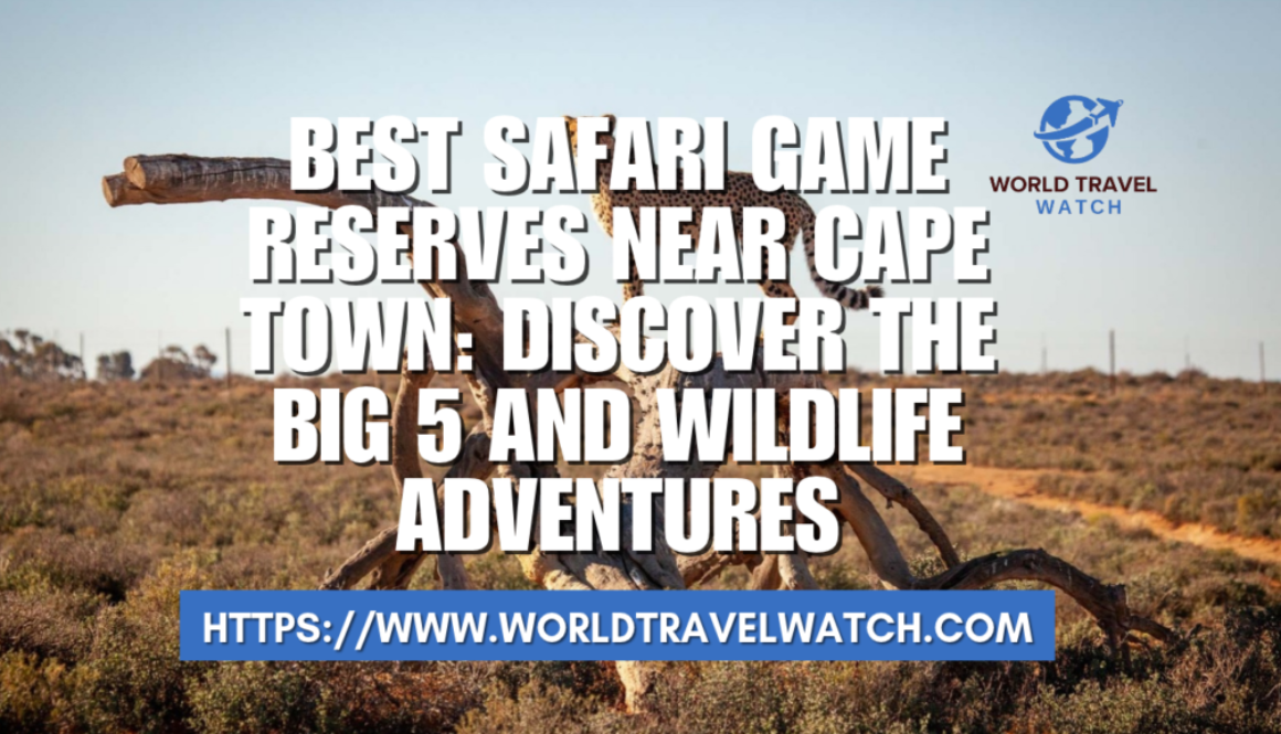 Best Safari Game Reserves Near Cape Town Discover the Big 5 and Wildlife Adventures