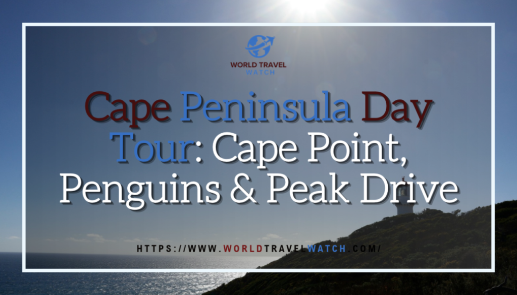 Cape Peninsula Day Tour Cape Point, Penguins & Peak Drive