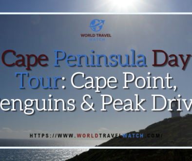 Cape Peninsula Day Tour Cape Point, Penguins & Peak Drive
