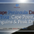 Cape Peninsula Day Tour Cape Point, Penguins & Peak Drive