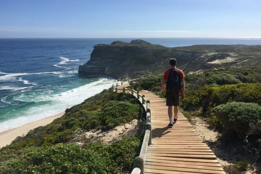 Highlights of a Cape Point Tour