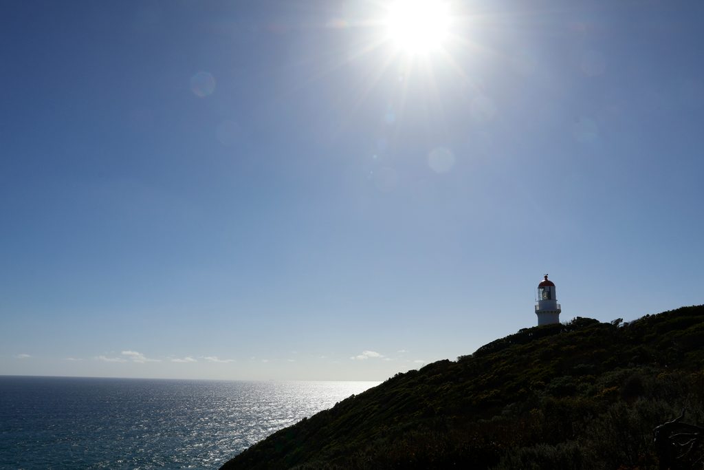 Overview of the Cape Peninsula Tour