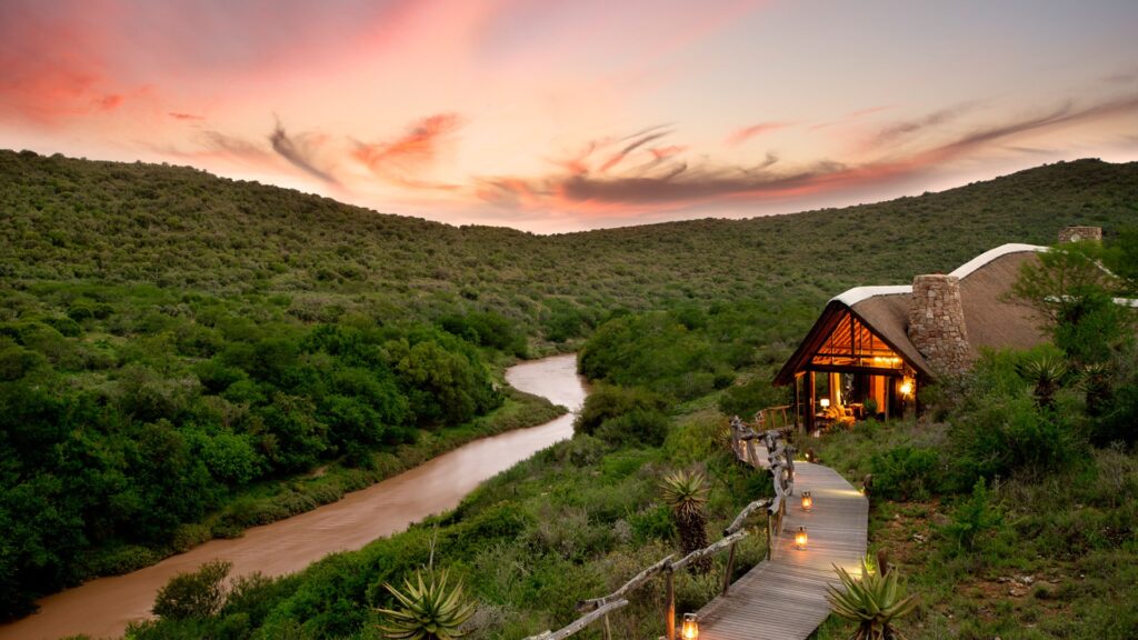 Top Game Reserves Near Cape Town
