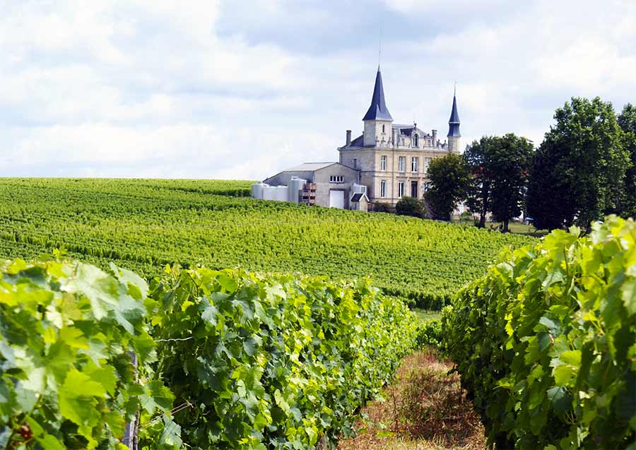 Vineyard Tours in Bordeaux