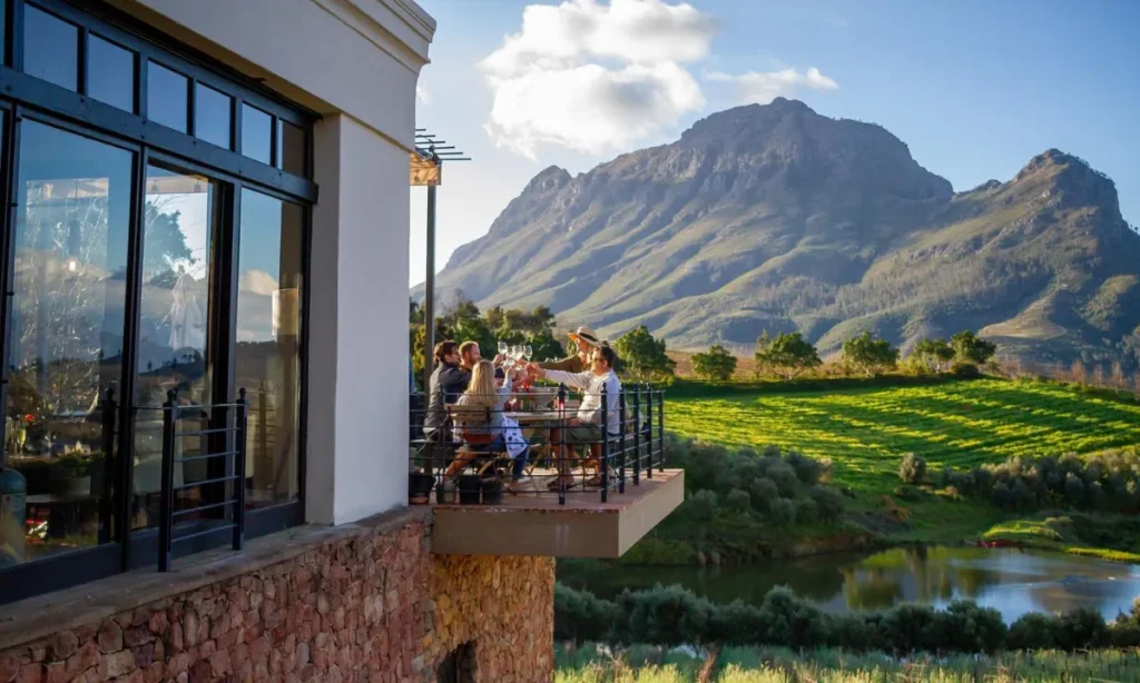 Wine Tasting Experiences in the Cape Winelands